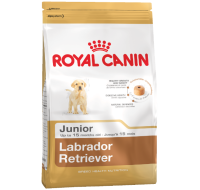 Labrador Junior Royal Canin